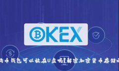 狗狗币钱包可以放在U盘吗？解密加密货币存储之