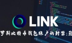 全球对俄罗斯比特币钱包账户的封禁：影响与未