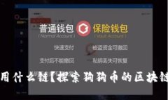 狗狗币提钱包用什么链？探索狗狗币的区块链及