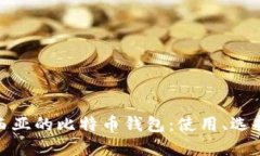 探索印度尼西亚的比特币钱包：使用、选择与未