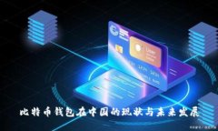 比特币钱包在中国的现状与未来发展