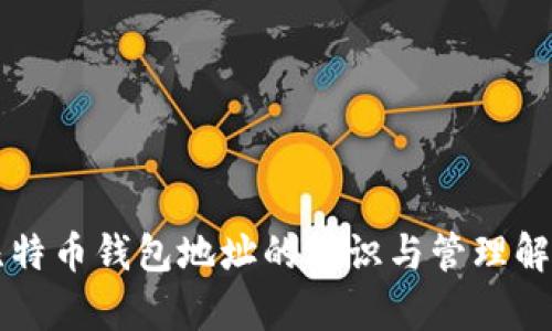 比特币钱包地址的标识与管理解析