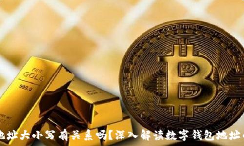   
TP钱包收款地址大小写有关系吗？深入解读数字钱包地址的构造与使用