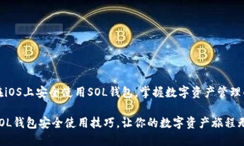 怎样在iOS上安全使用SOL钱包，掌握数字资产管理的技巧

掌握SOL钱包安全使用技巧，让你的数字资产旅程无忧