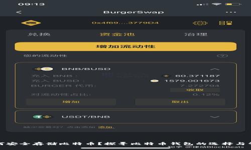 如何安全存储比特币？探寻比特币钱包的选择与管理