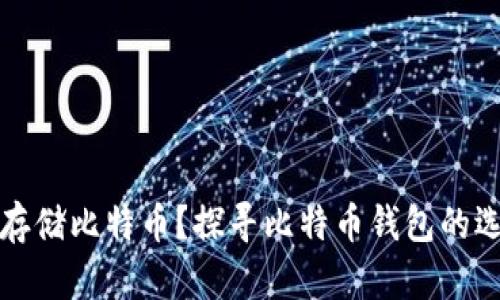 如何安全存储比特币？探寻比特币钱包的选择与管理