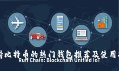 支持比特币的热门钱包推荐及使用指南