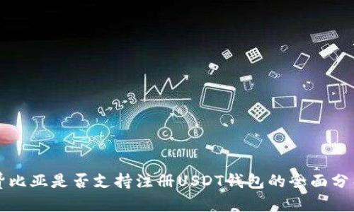 赞比亚是否支持注册USDT钱包的全面分析