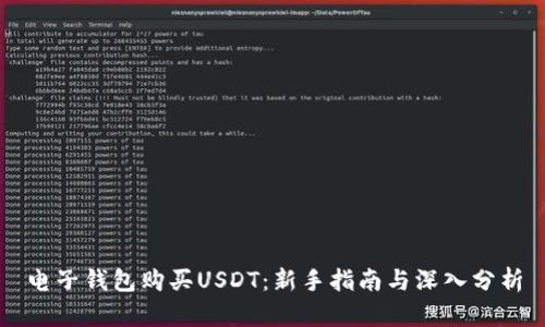 电子钱包购买USDT：新手指南与深入分析